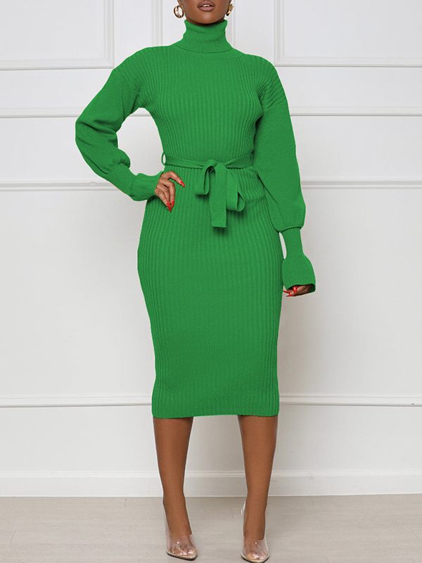 Turtleneck Tied Knit Dress